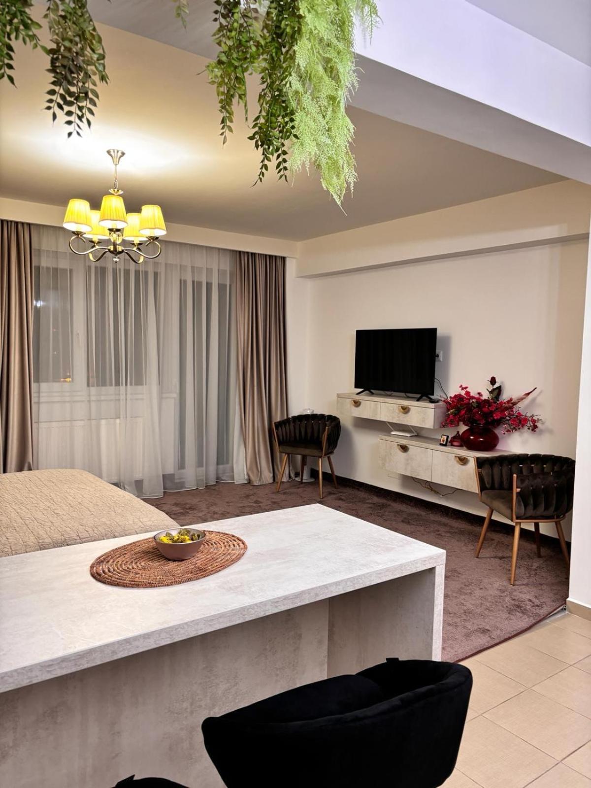 Premium Studio Mv Sibiu Bagian luar foto